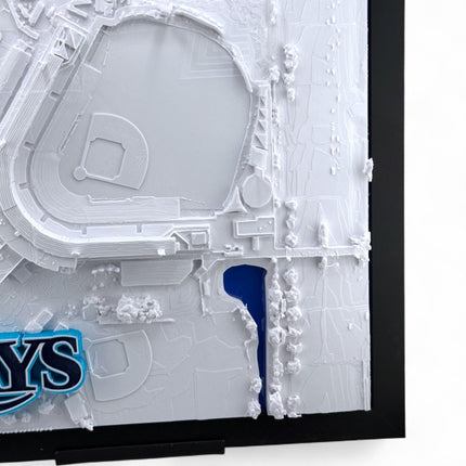 Tampa Bay Rays - Framed Topographical Map Art of Steinbrenner Field with logo