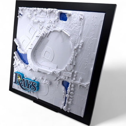 Tampa Bay Rays - Framed Topographical Map Art of Steinbrenner Field with logo
