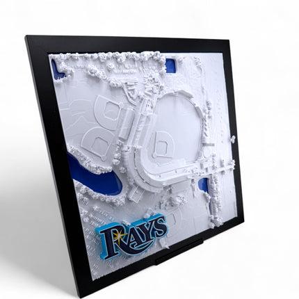 Tampa Bay Rays - Framed Topographical Map Art of Steinbrenner Field with logo