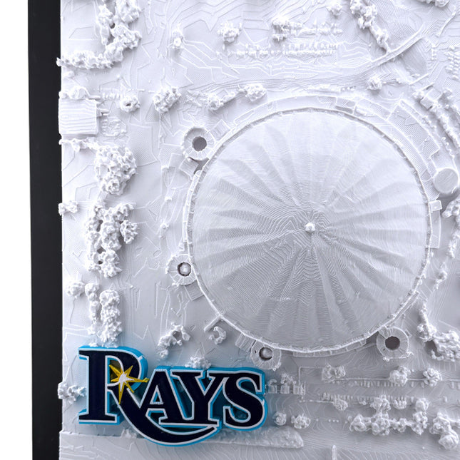 Tampa Bay Rays - Framed Topographical Map Art of Tropicana Field with logo