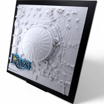 Tampa Bay Rays - Framed Topographical Map Art of Tropicana Field with logo