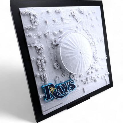 Tampa Bay Rays - Framed Topographical Map Art of Tropicana Field with logo