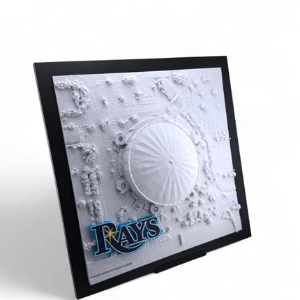 Tampa Bay Rays - Framed Topographical Map Art of Tropicana Field with logo