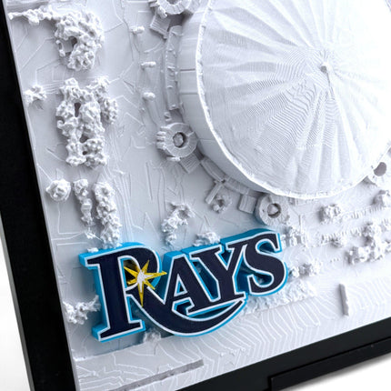 Tampa Bay Rays - Framed Topographical Map Art of Tropicana Field with logo