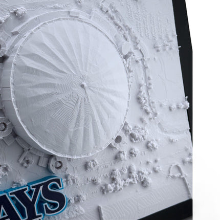 Tampa Bay Rays - Framed Topographical Map Art of Tropicana Field with logo