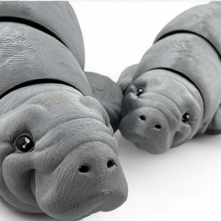 3D Printed Manatee