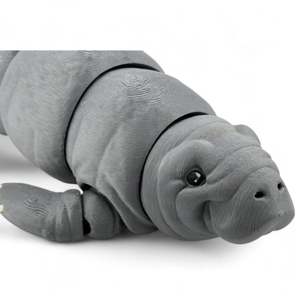 3D Printed Manatee