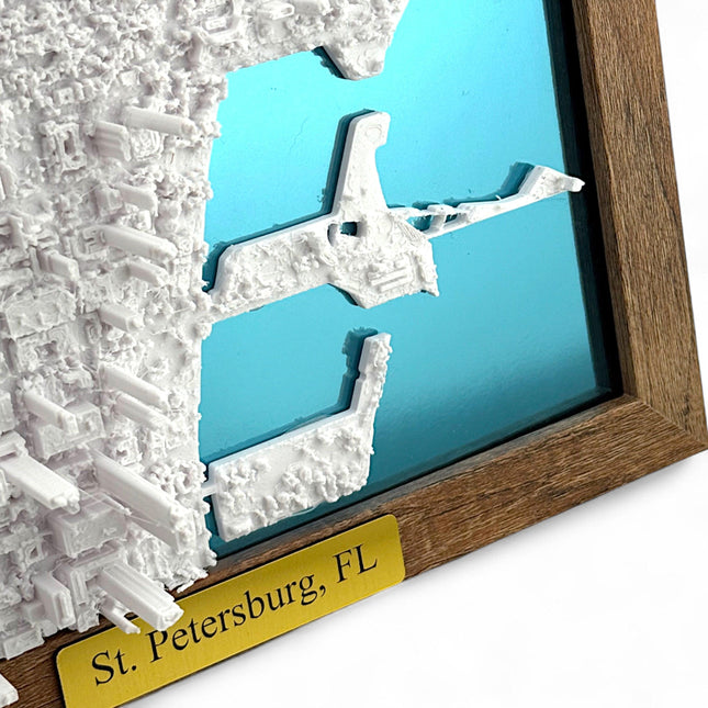 St. Petersburg, Florida Map Art Framed Wall Decor Topographical Map
