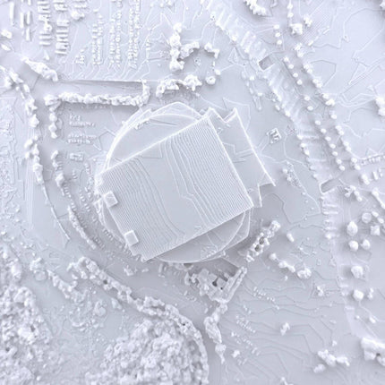 Florida Panthers 3D Topographical Map Art of Amerant Bank Arena - Unique Sports Wall Decor Gift