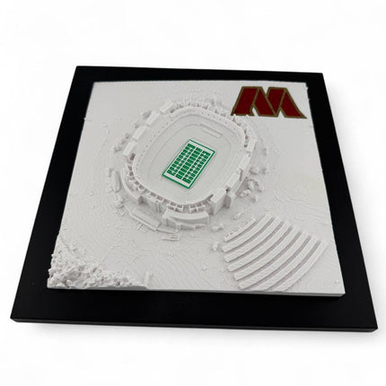 Washington Commanders 3D Printed Topographic Map Art with logo