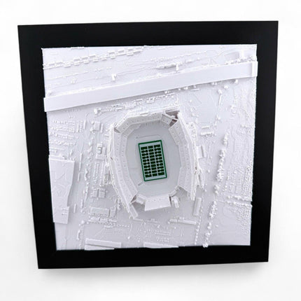 Philadelphia Eagles - Lincoln Financial Field 3D Topographic Map Art