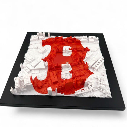 Boston Red Sox 3D Topographical Map Art with logo