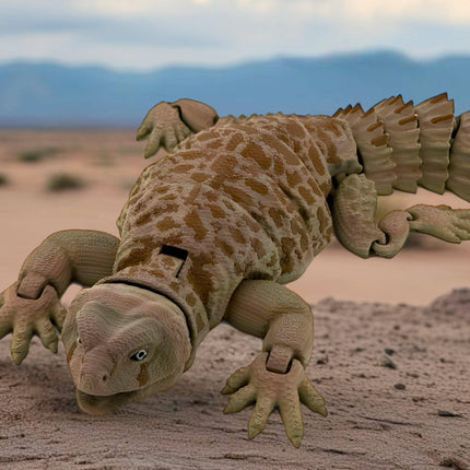 Uromastyx