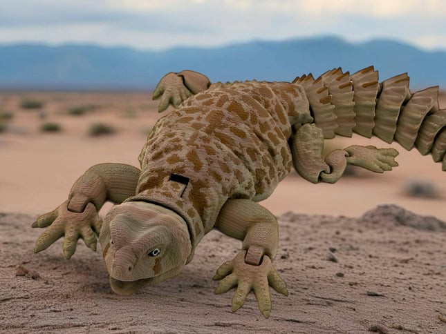 Uromastyx