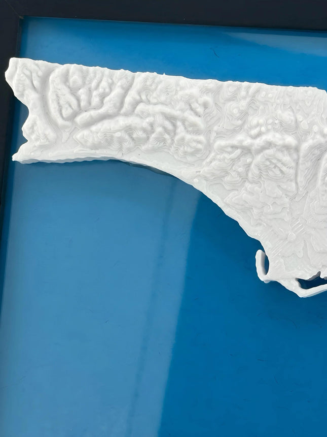 Florida Topographical Map Art Framed Wall Decor, Geographic Map Poster, Coastal Home Gift, Nautical Cartography Print, Beach House Wall Art