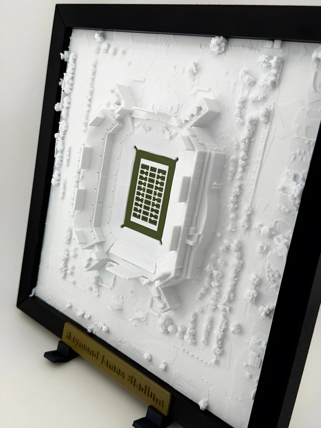 Raymond James Stadium Topographical Map Art - Tampa Bay Buccaneers Framed Wall Decor, Football Stadium Gift, Sports Fan Room Decoration