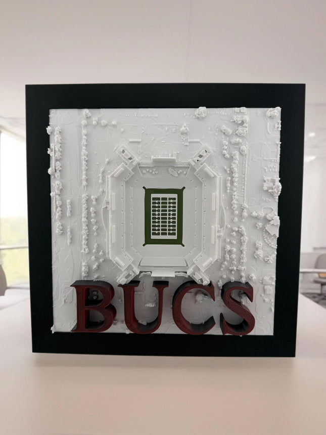 Tampa Bay Buccaneers Wall Decor - Raymond James Stadium Topographical Map Art - , NFL Fan Gift, Unique Sports Stadium Print