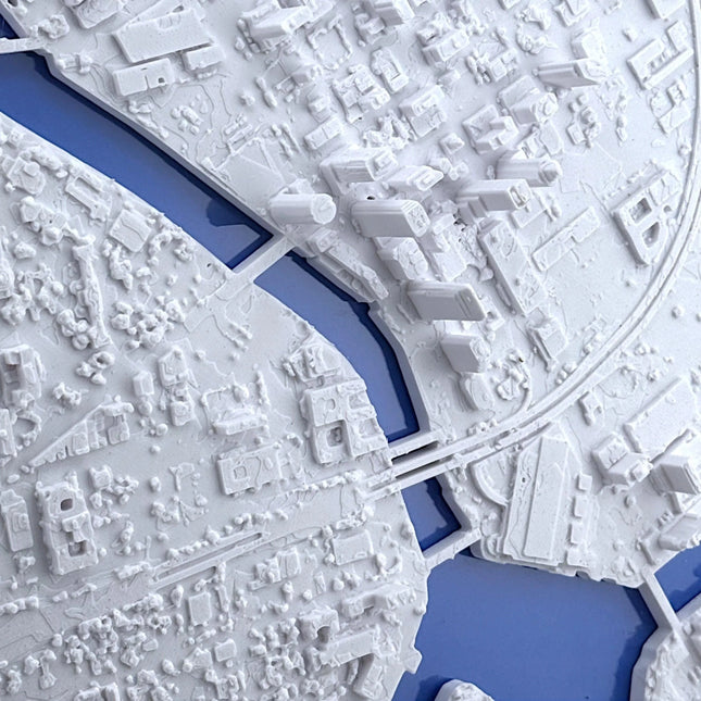 Tampa, FL 3D Topographical Map Wall Art