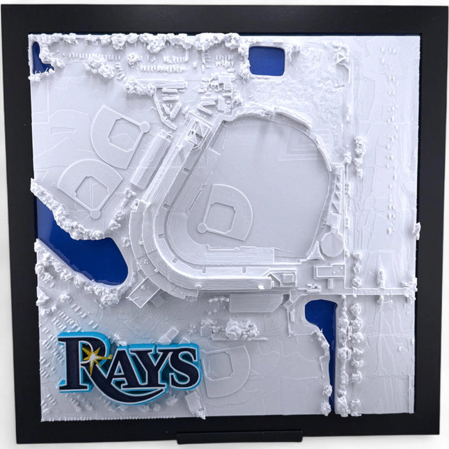 Tampa Bay Rays at Steinbrenner Field (Temporary Home) – 3D Stadium Map Wall Art
