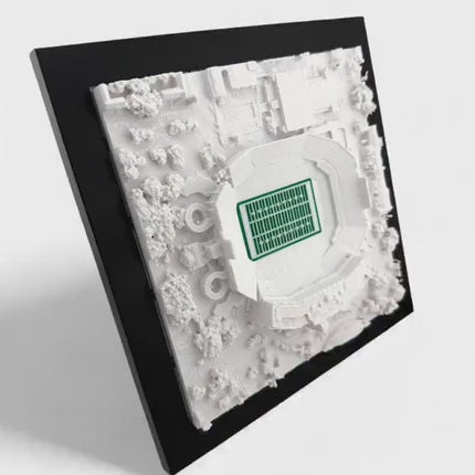 Florida Gators Ben Hill Griffin Stadium Wall Art - 3D Topographic Map, College Football Decor, University of Florida Fan Gift