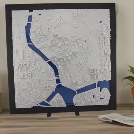 Tampa FL Map Art Framed Wall Decor Topographical Map Coastal City Landscape Gift for Home & Office