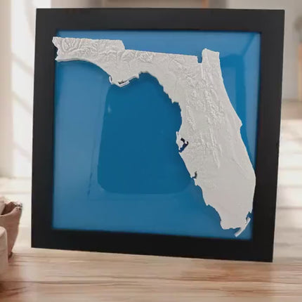Florida Topographical Map Art Framed Wall Decor, Geographic Map Poster, Coastal Home Gift, Nautical Cartography Print, Beach House Wall Art